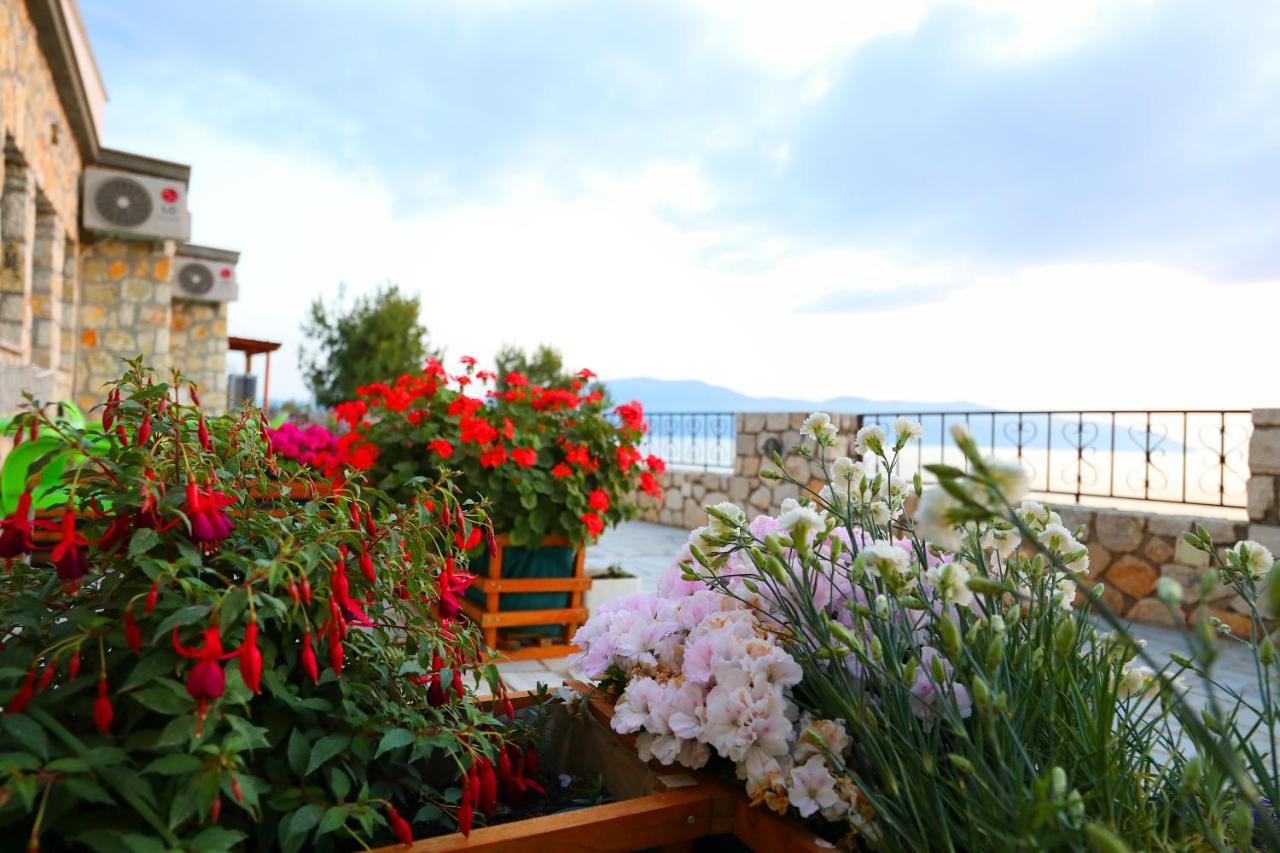 Vila Dena Vlore Luaran gambar