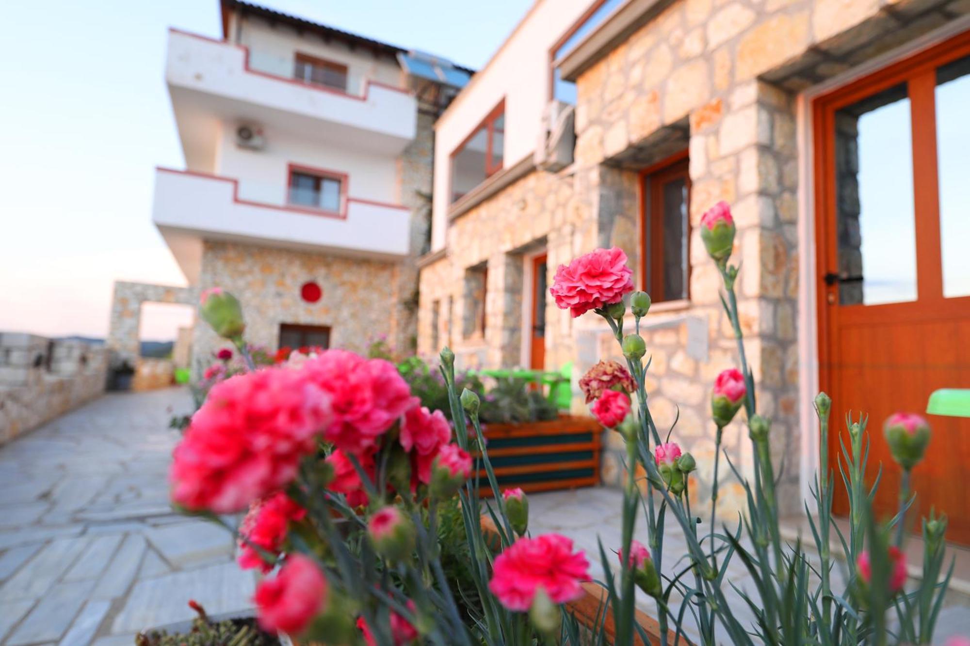 Vila Dena Vlore Luaran gambar